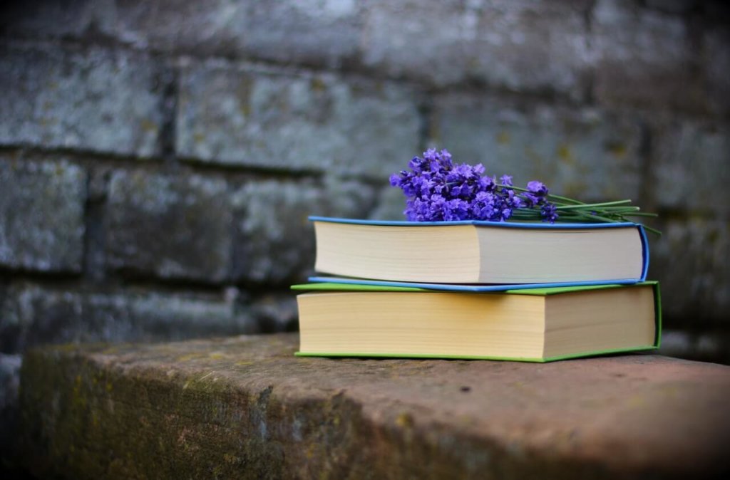 dois livros empilhados com um pequeno ramo de flores em cima