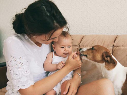 Mãe segurando seu bebê no colo enquanto apresenta cuidadosamente a criança ao cachorro da família, permitindo que o animal cheire a mãozinha do bebê em um momento de adaptação e carinho entre pet e recém-nascido.