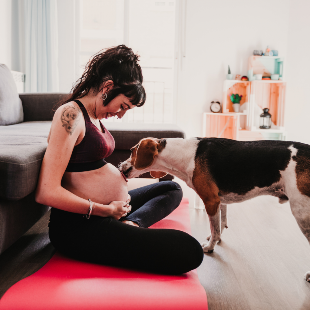Saiba quais os cuidados necessários para o seu bebê com um pet em casa Design sem nome 15 1024x1024 - Saiba quais os cuidados necessários para o seu bebê com um pet em casa