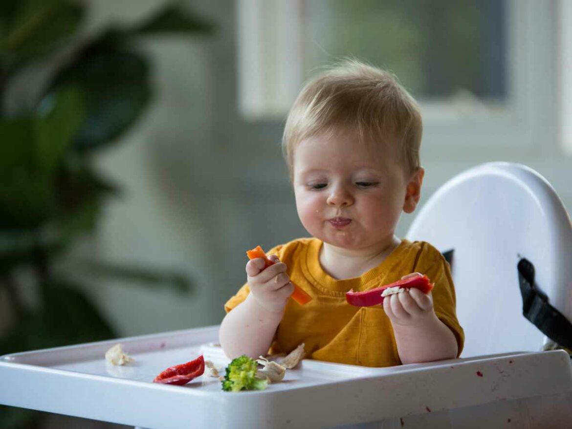 Bebe comendo alimentos permitidos para sua idade